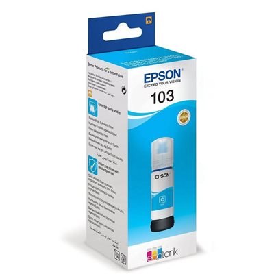 KARTUŞ EPSON C13T00S24A 103 MAVİ